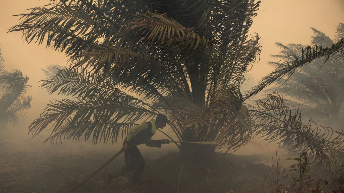 Japan Deploys Helicopters as Kalimantan Haze Crisis Deepens Beyond Hazardous Levels
