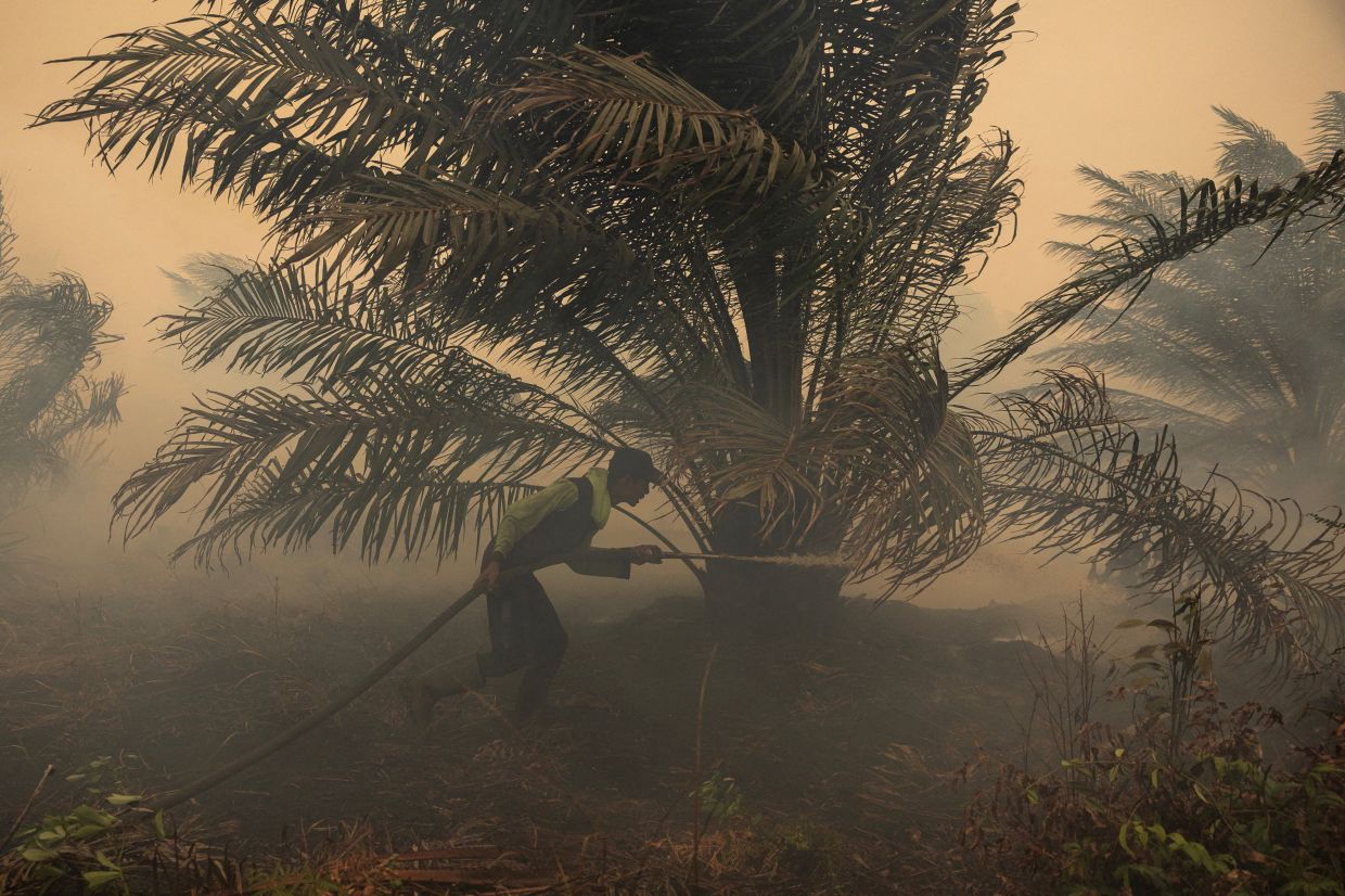 Japan Deploys Helicopters as Kalimantan Haze Crisis Deepens Beyond Hazardous Levels