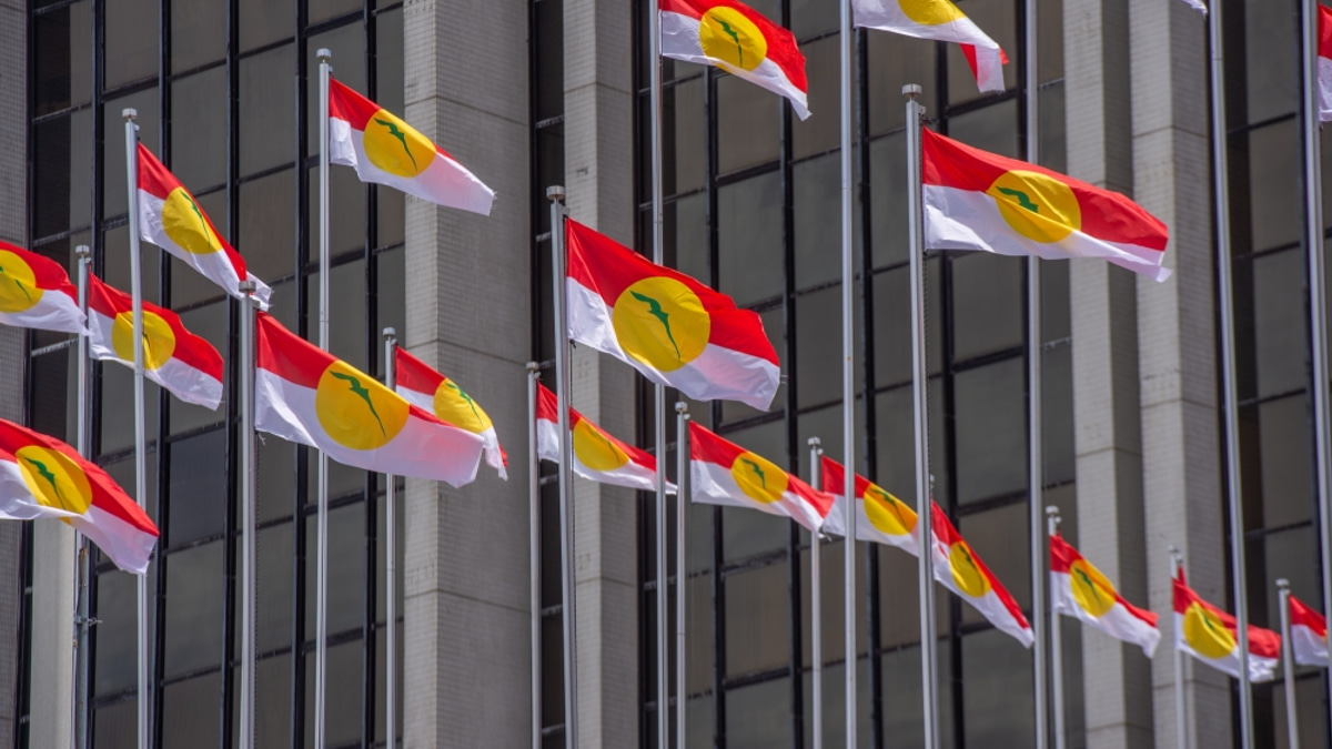 Perlis Umno Signals Independent Path, Poised to Field Candidates Across All State and Federal Seats