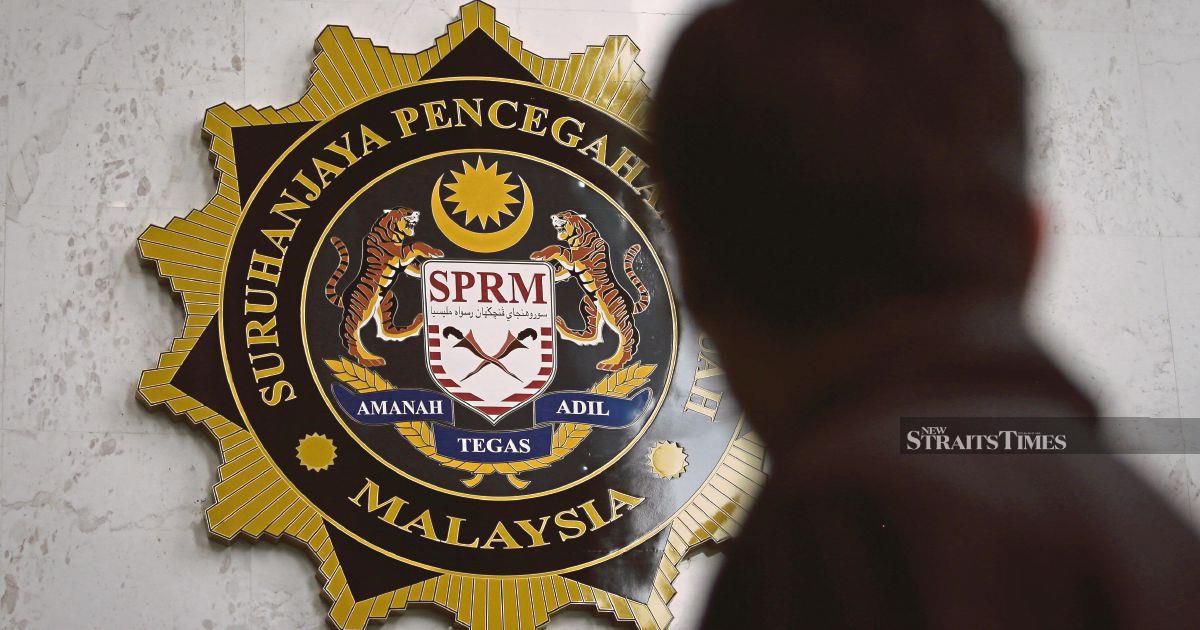 MACC launches probe into Felda Palong 7 replanting scheme amid seedling quality concerns