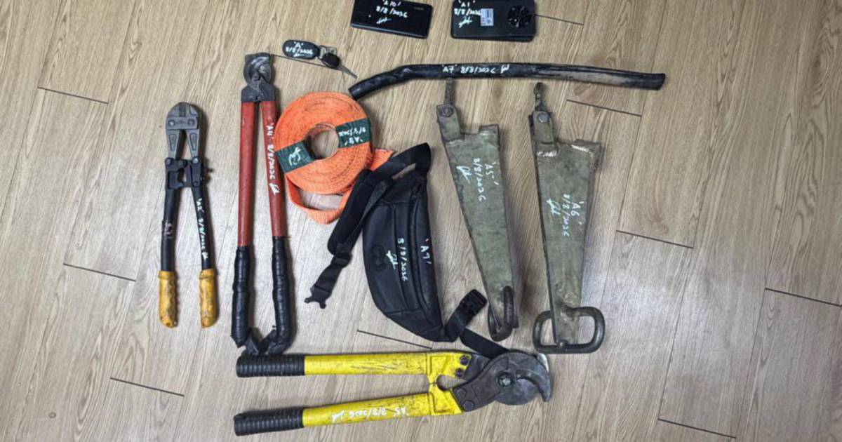 Cable Theft Suspect Captured After Dramatic 50km Police Chase Ends in Crash