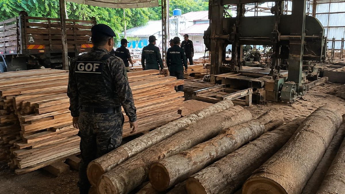 Authorities Seize RM640,510 in Timber and Equipment from Terengganu Sawmill