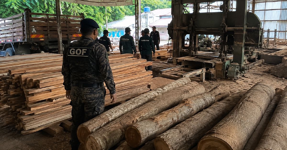Authorities Seize RM640,510 in Timber and Equipment from Terengganu Sawmill