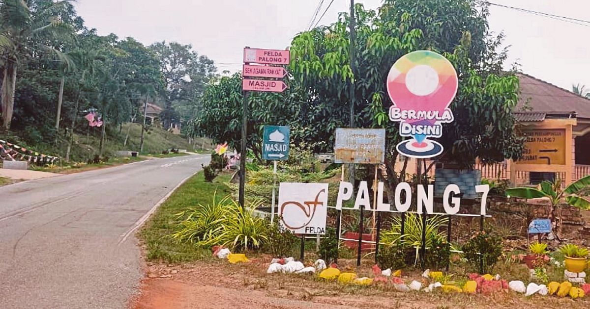 MACC Probes Alleged RM80 Million Irregularities in Felda Palong 7 Oil Palm Project