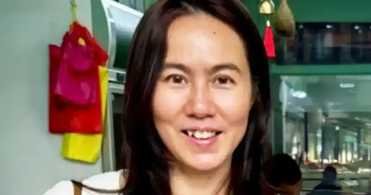 MACC Officers Face No Investigation Over Pamela Ling's Disappearance, Clarifies Home Minister Saifuddin