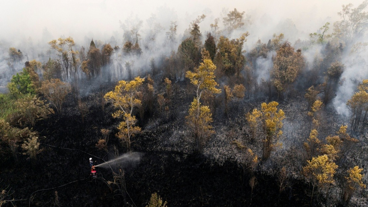 Singkawang Airport Halts All Flights as Kalimantan Haze Crisis Deepens