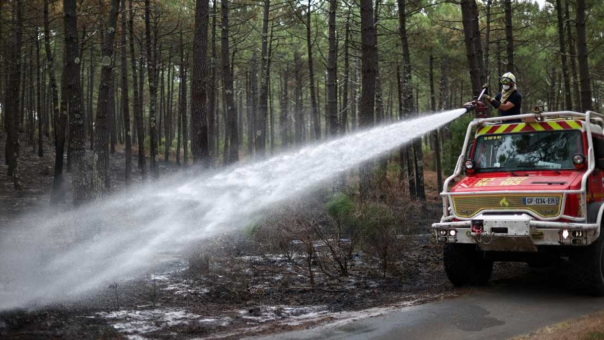 France Arrests Over 300 People Linked to Devastating Wildfires