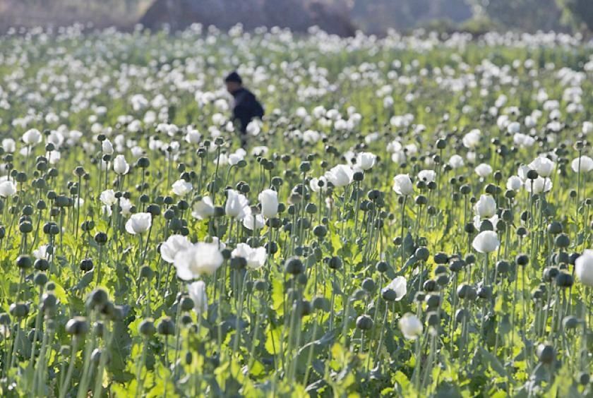 Myanmar Seizes 17.6kg of Heroin and Million Stimulant Pills in Major Drug Bust