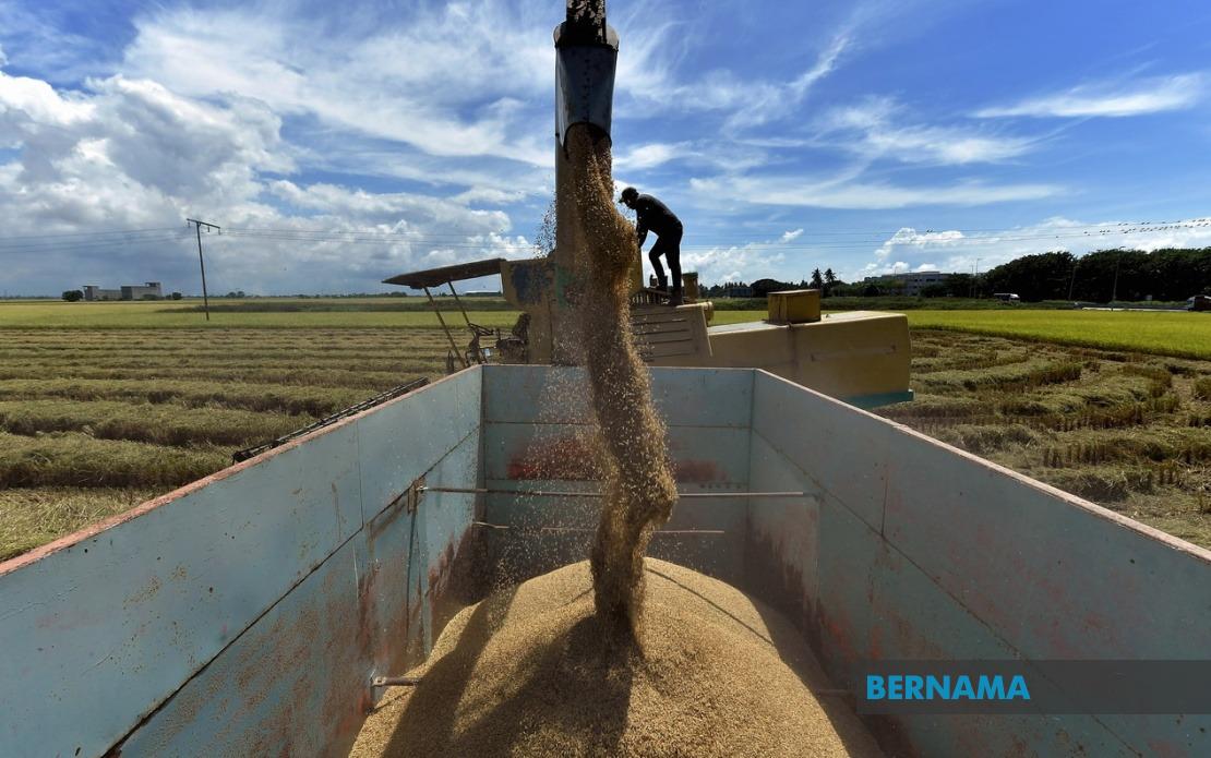 Government Moves to Strengthen Rice Price Controls with Sweeping Penalties