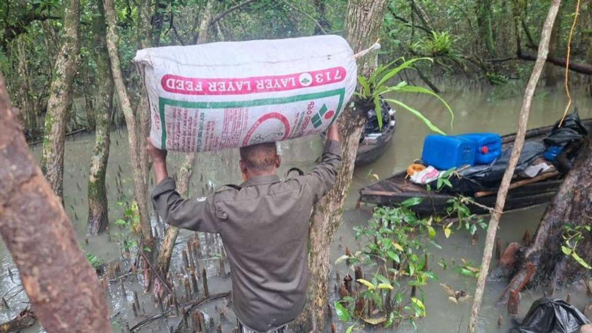 Bangladesh authorities dismantle illegal poison-based shrimp processing camps in Sundarbans