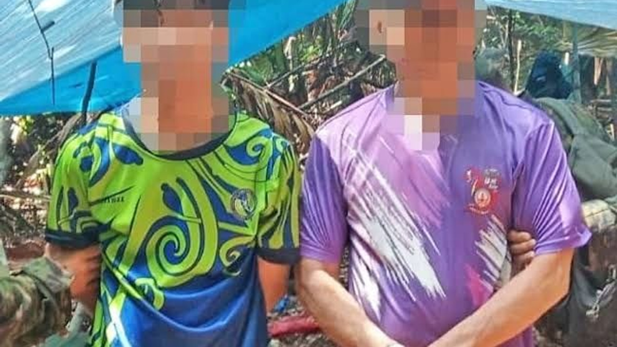Brunei arrests two foreigners over alleged agarwood theft from protected forest