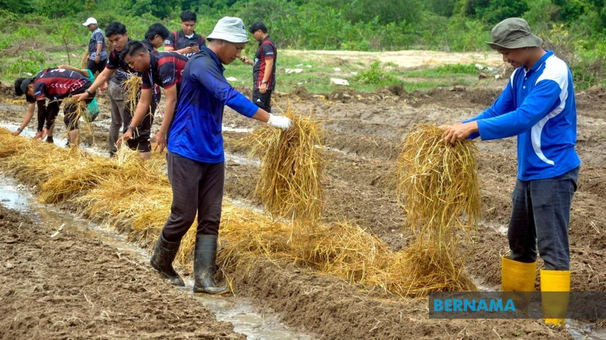 Agricultural TVET Graduate Employment Climbs to 76%, But Skills Gap Persists