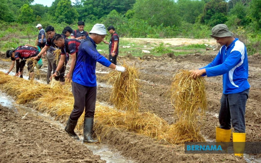 Agricultural TVET Graduate Employment Climbs to 76%, But Skills Gap Persists
