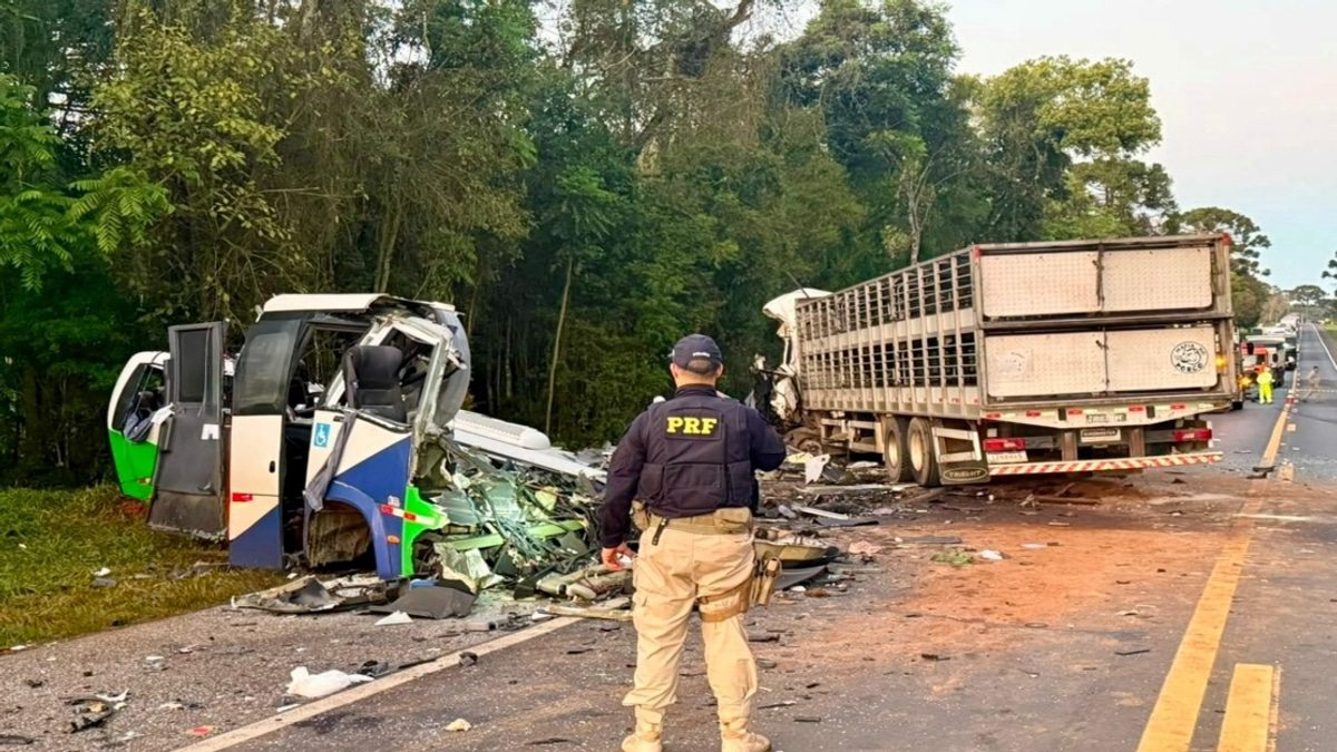 23 Dead in Horrific Bus-Lorry Crash in Southern Brazil