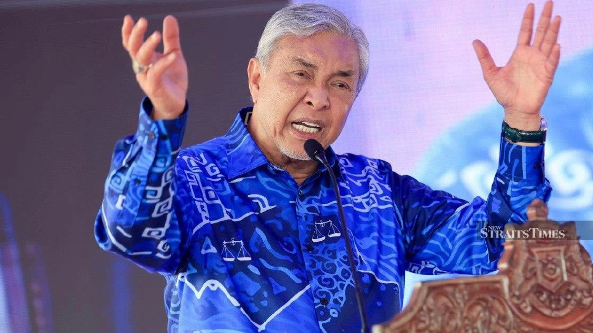 BN chairman Zahid urges Johor voters to avoid repeating past electoral missteps