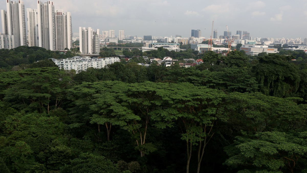 Singapore Arrests Three Radicalised Teenagers Over Planned Attack Plots