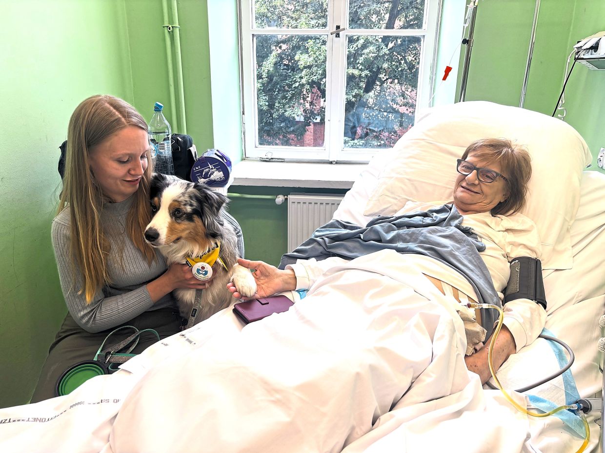 Poland moves to guarantee pet visitation rights in hospice and palliative care wards