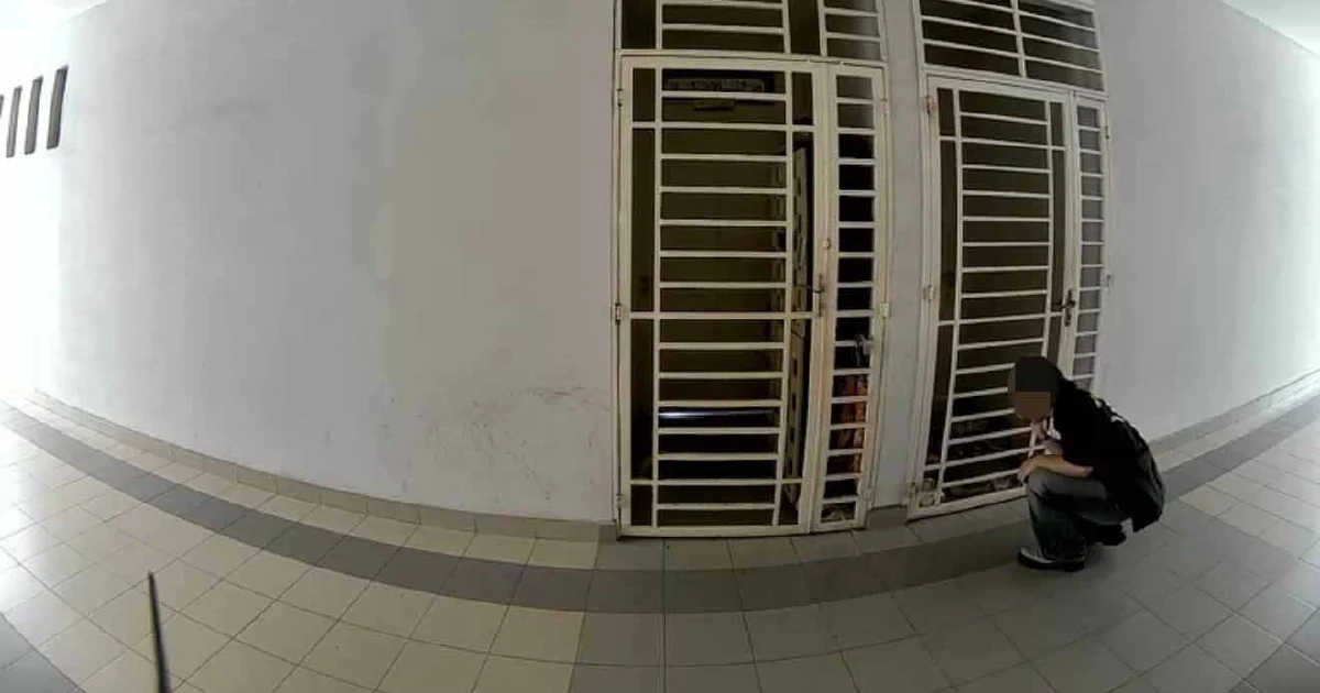 University Student Arrested for Alleged Stalking and Harassment of Female Peer