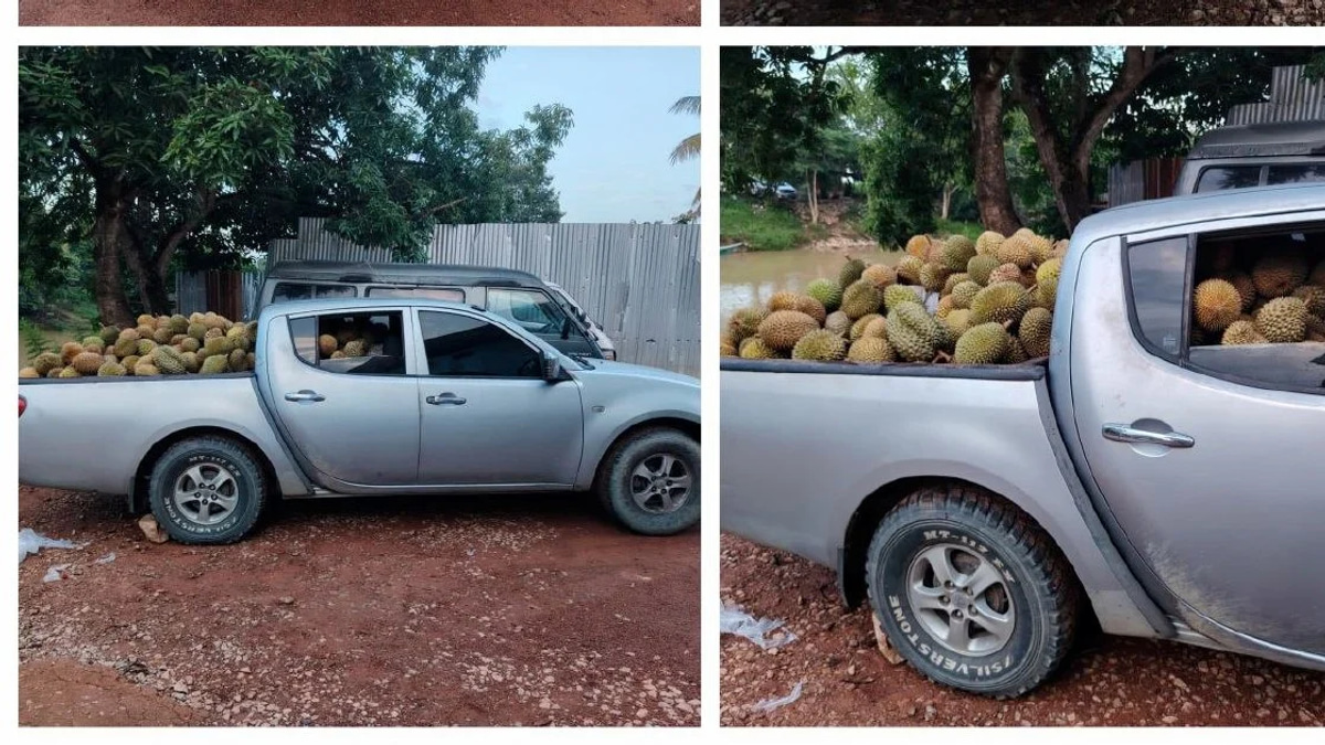 Part-time durian smuggler arrested with 700kg haul at Rantau Panjang