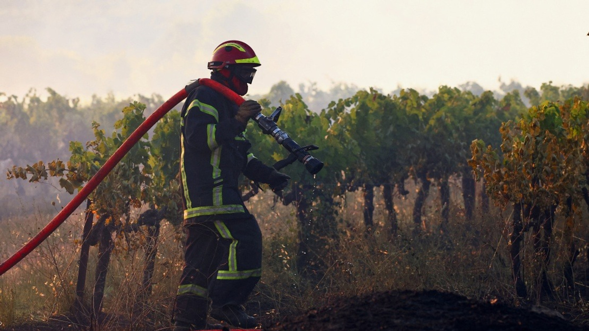 Massive Wildfires Ravage French Var Department, Displace Hundreds
