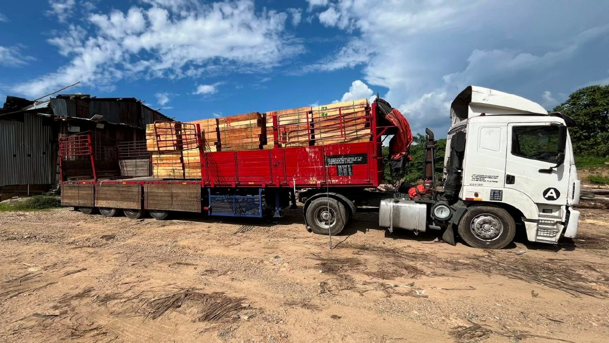 Five arrested as authorities dismantle RM2.32 million illegal timber operation in Kelantan