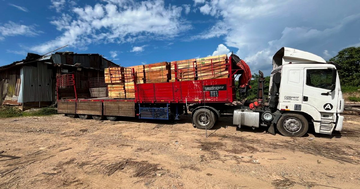 Five arrested as authorities dismantle RM2.32 million illegal timber operation in Kelantan