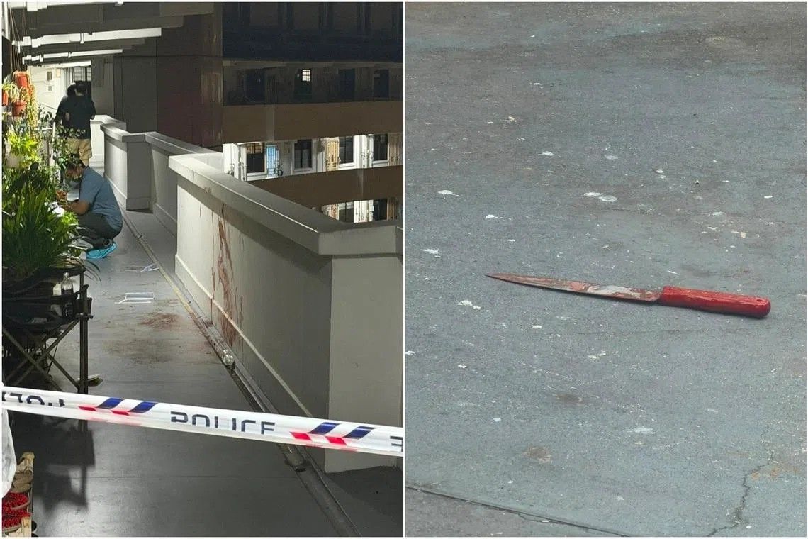 Man Charged with Murder of Neighbour in Singapore Public Housing Block
