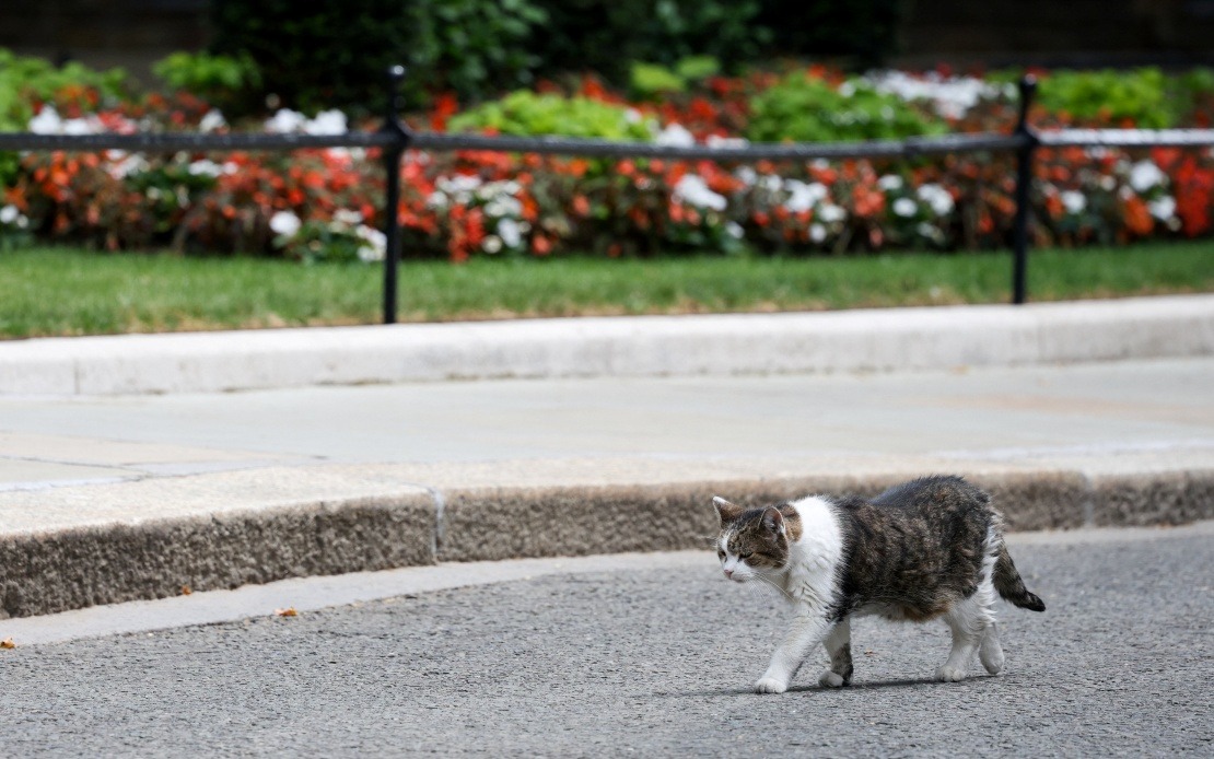 Larry the Cat: 10 Downing Street's Longest-Serving Resident Outlasts Six Prime Ministers