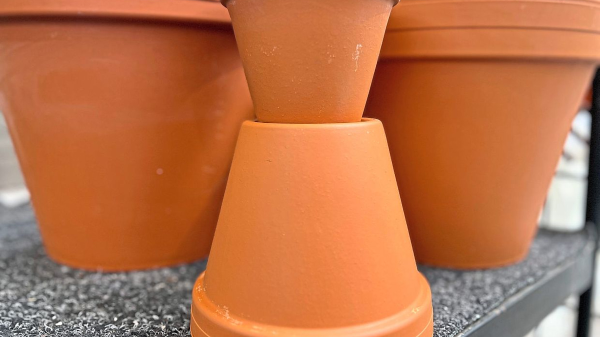 Protecting Malaysian Gardens from Microplastic Contamination: A Practical Guide for Soil Health