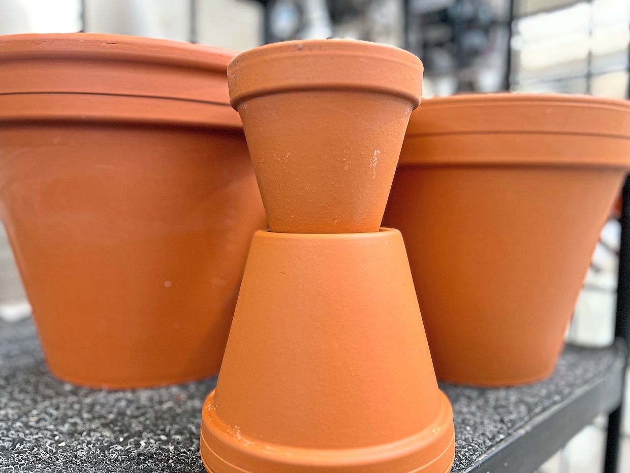 Protecting Malaysian Gardens from Microplastic Contamination: A Practical Guide for Soil Health