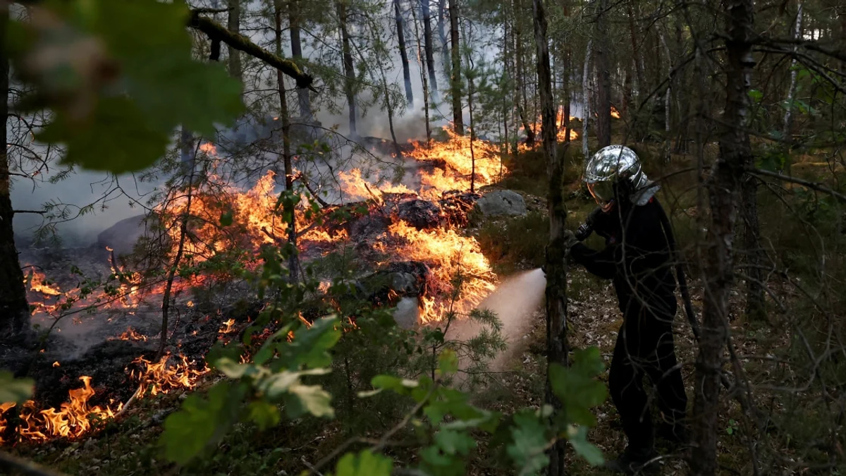 Arson Suspected as Major Wildfires Consume Over 1,300 Hectares Near Paris