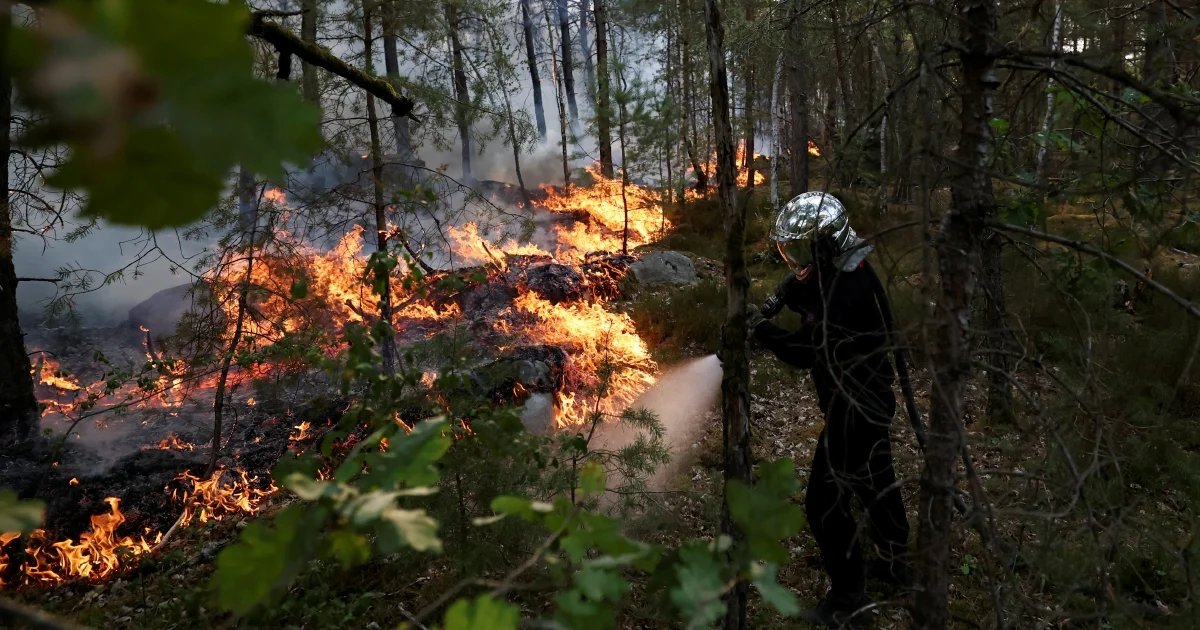 Arson Suspected as Major Wildfires Consume Over 1,300 Hectares Near Paris