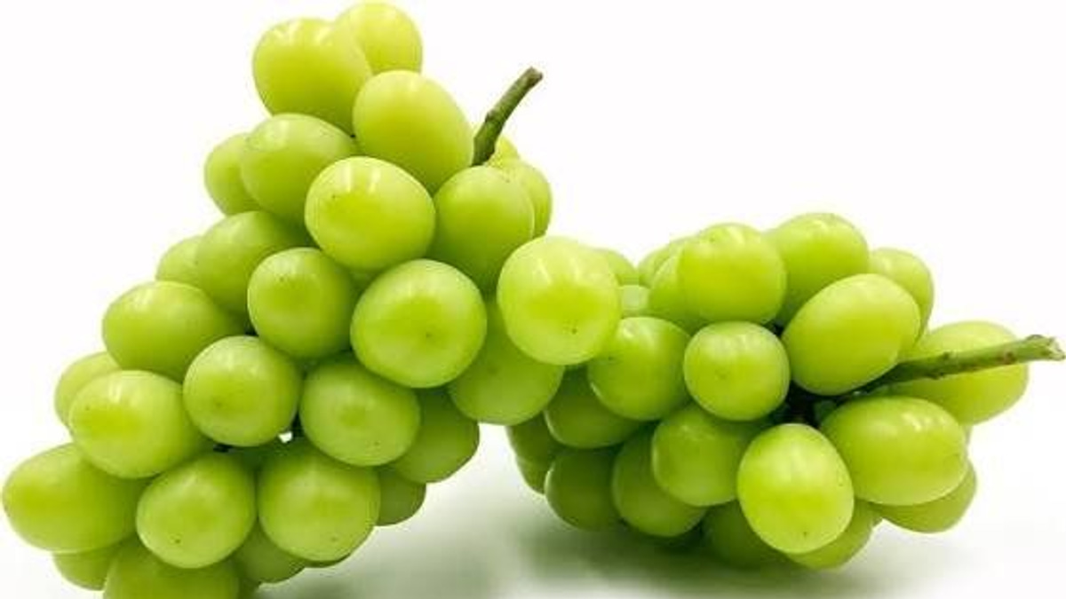 Japanese Man Arrested in RM36,000 Grape Heist from Okayama Greenhouse