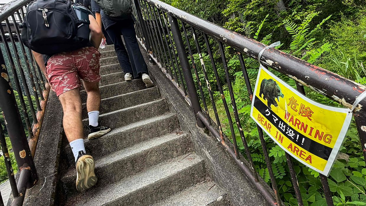 Japan Deploys Network of Cameras to Track Bear Population Amid Deadly Attack Surge