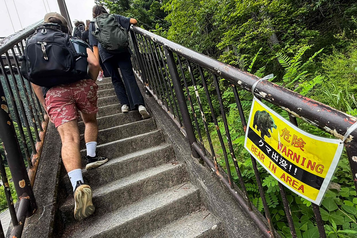 Japan Deploys Network of Cameras to Track Bear Population Amid Deadly Attack Surge