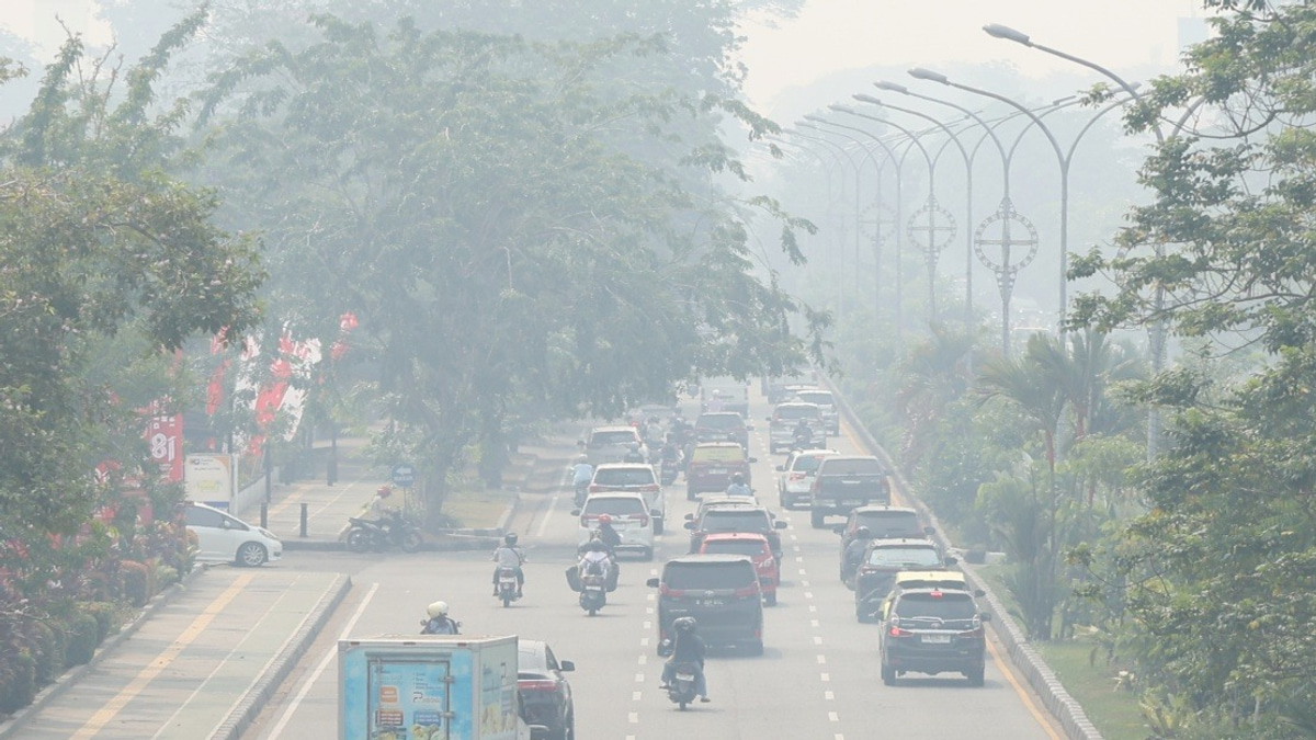 Indonesia's Air Quality Crisis: Central Kalimantan Pollution Index Reaches Hazardous 573 Amid Widespread Fires