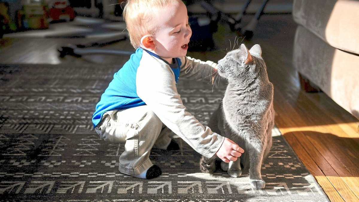 Swedish Study Challenges Common Belief That Pet Cats Worsen Childhood Asthma