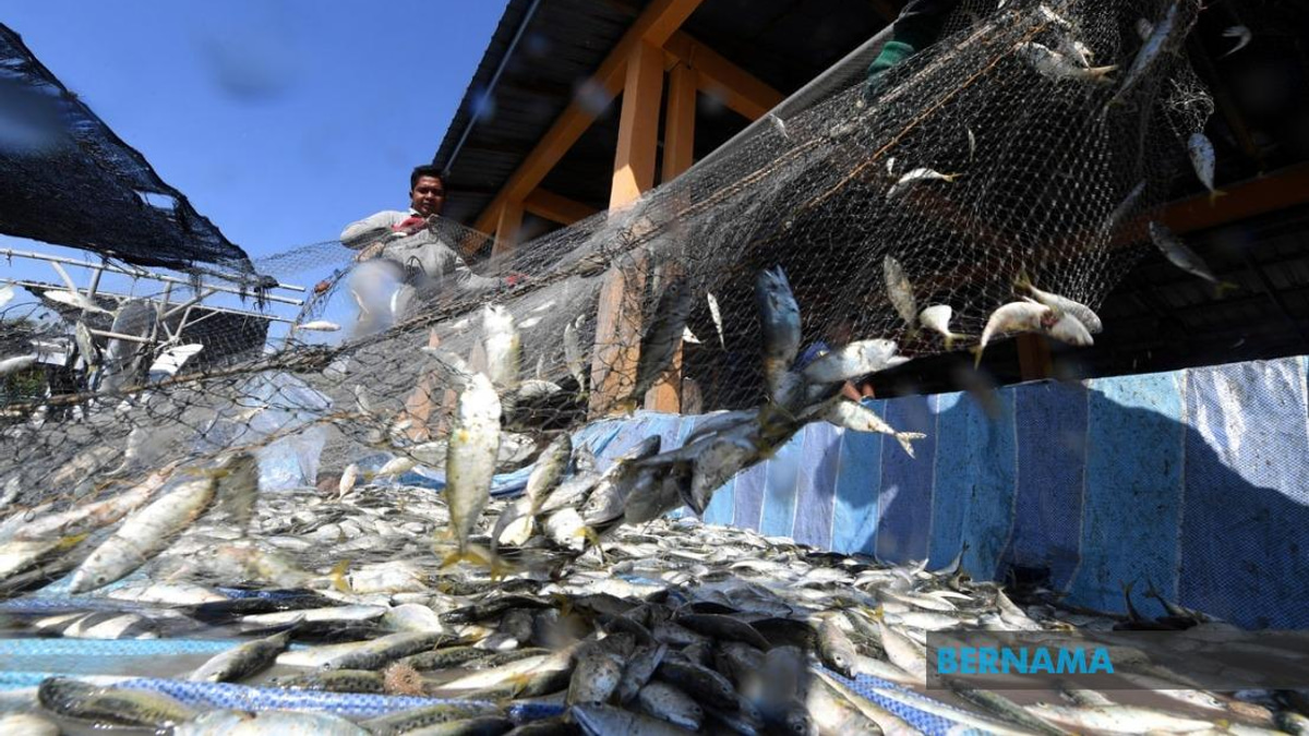 Government Invests RM10 Million in Fishermen Housing Across Malaysia This Year