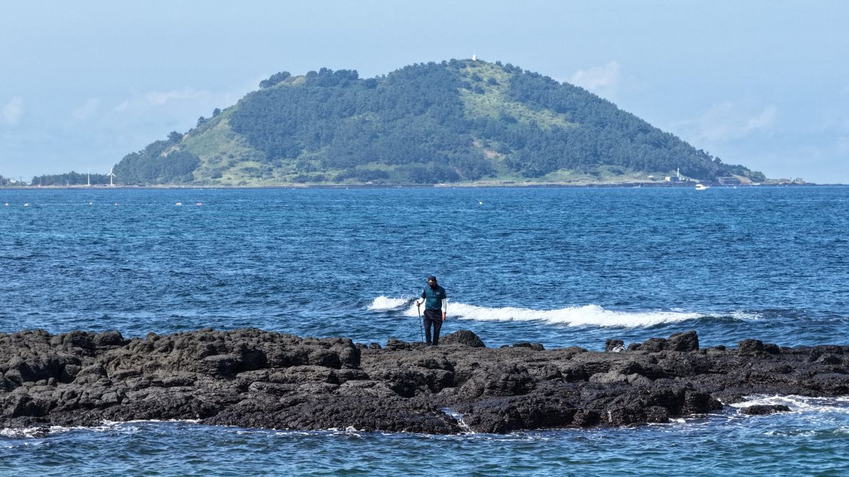 Jeju Island's Crisis of Confidence: Police Failures and Missing Persons Shake South Korea's Premier Tourist Destination