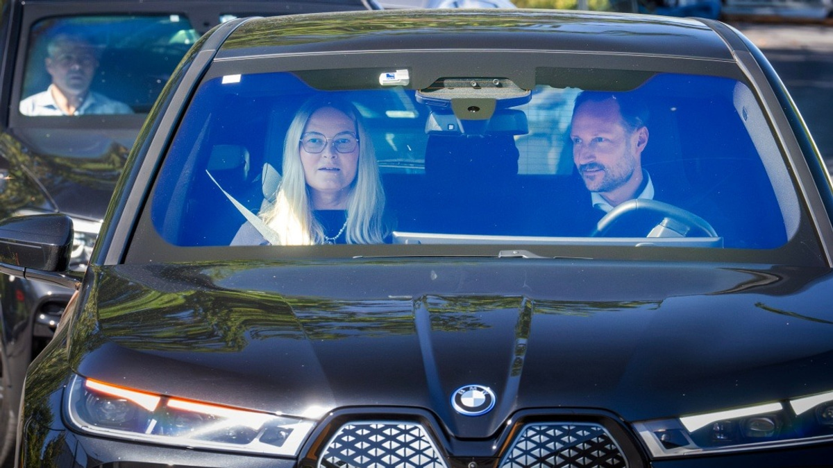Norwegian King Harald's Health Takes Critical Turn as Palace Issues Grave Alert