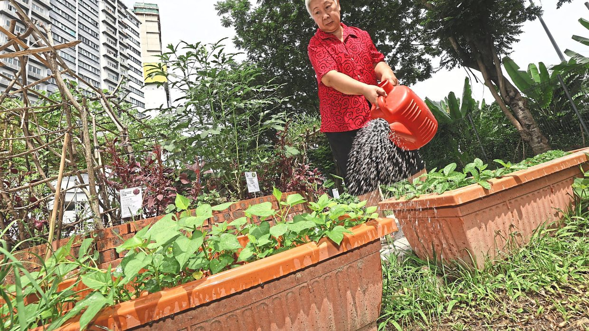 From Wasteland to Wellness: How Kuala Lumpur's Community Food Forest Is Transforming Senior Living