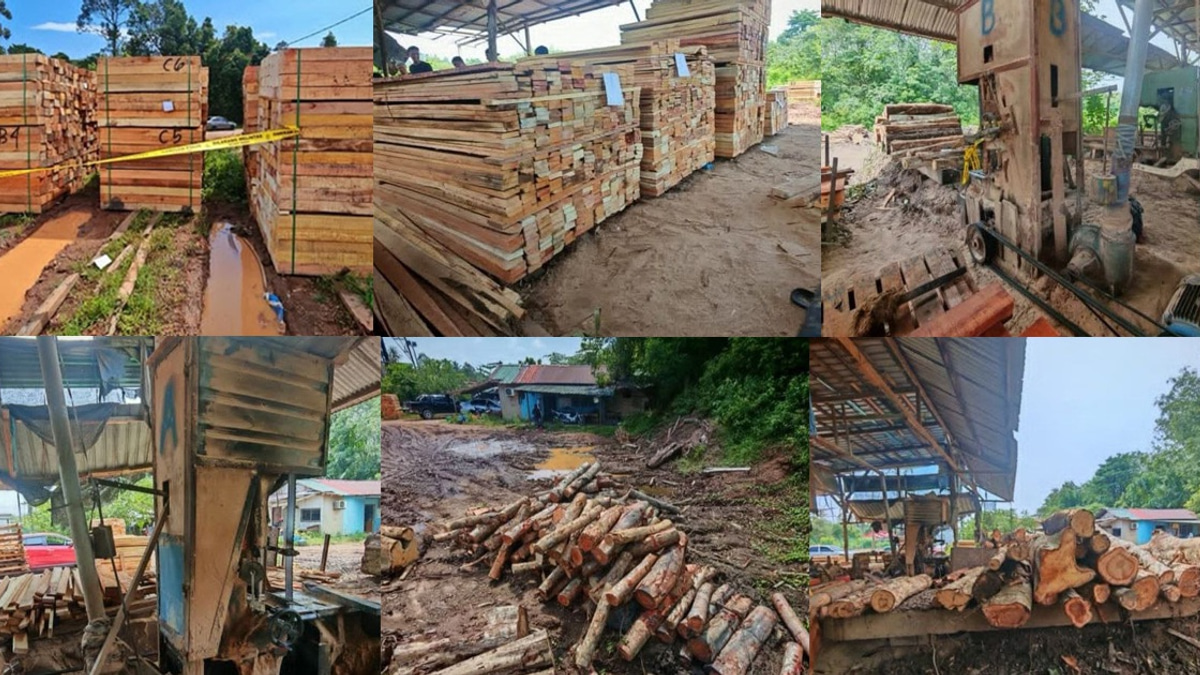 Four arrested as authorities shut down illegal timber mill in Kelantan, seize RM600,000 worth of assets