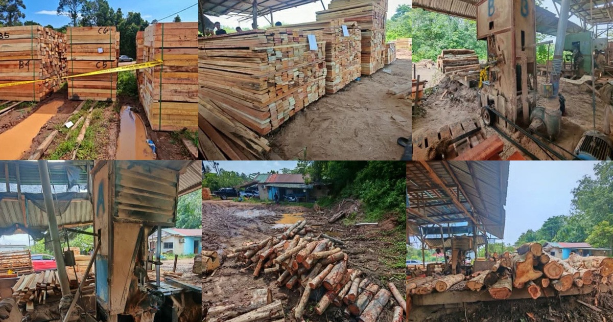 Four arrested as authorities shut down illegal timber mill in Kelantan, seize RM600,000 worth of assets