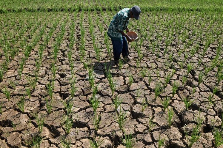 Indonesia's Drought Crisis Deepens as El Niño Intensifies Across Multiple Regions