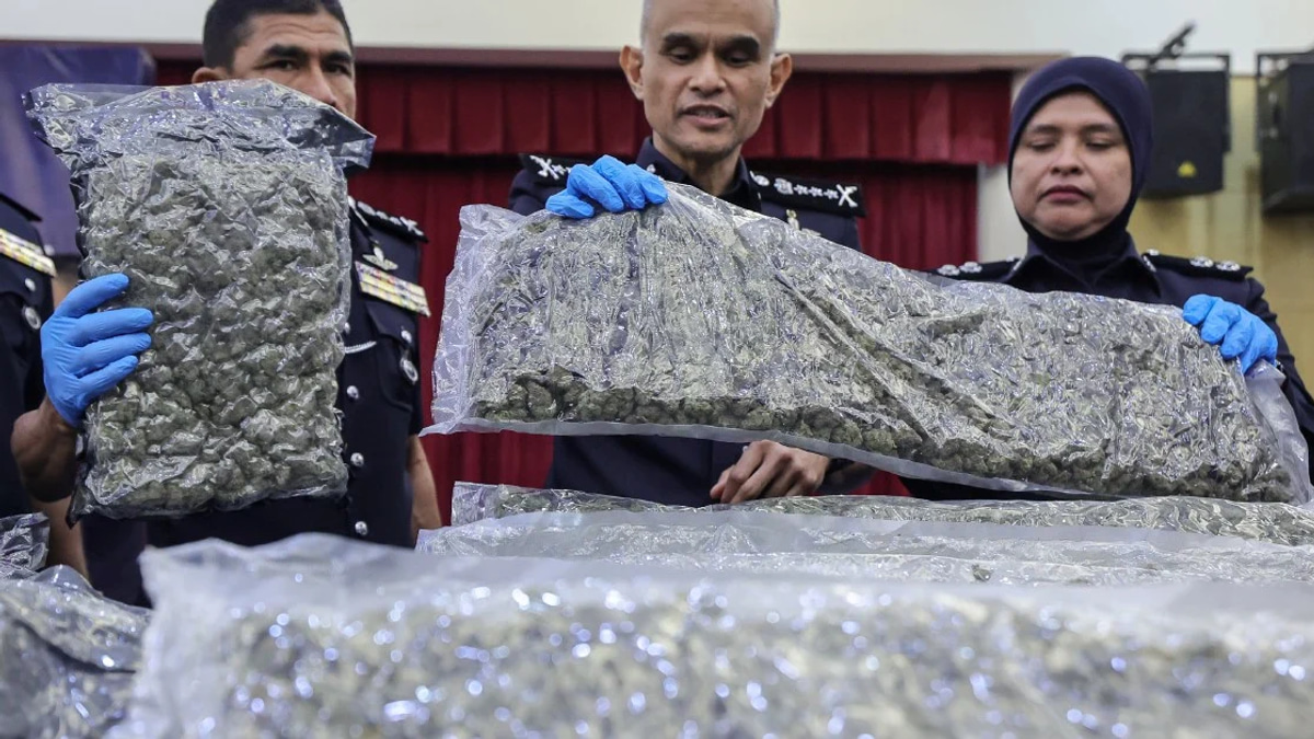 KLIA cannabis haul exceeds 650kg as police arrest 38 in trafficking network