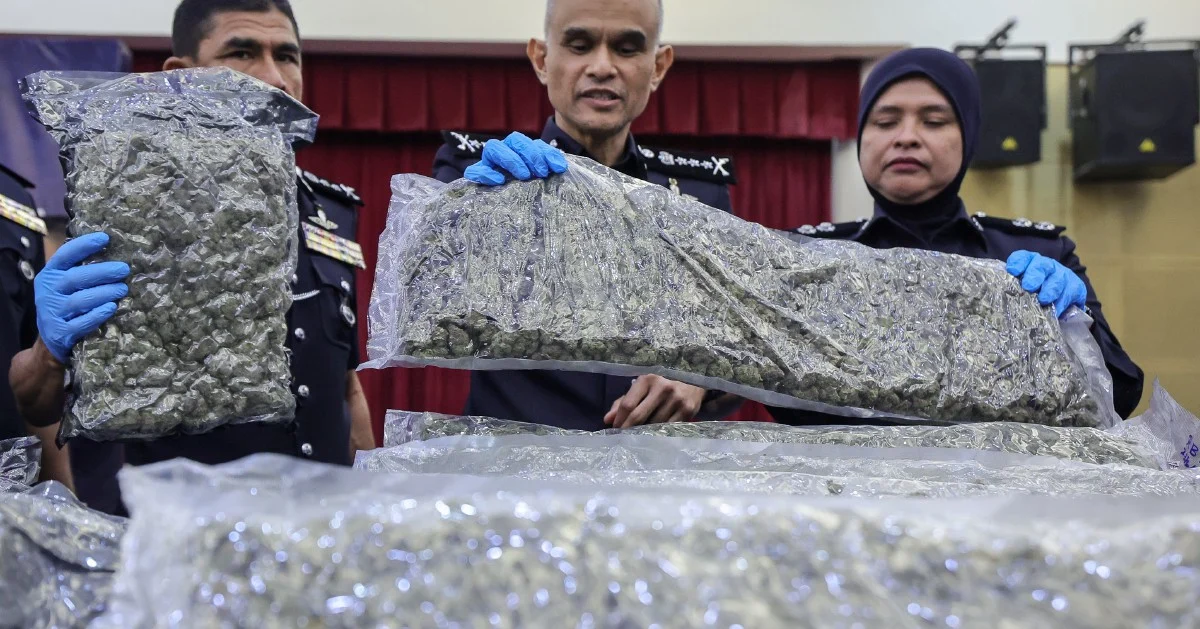 KLIA cannabis haul exceeds 650kg as police arrest 38 in trafficking network