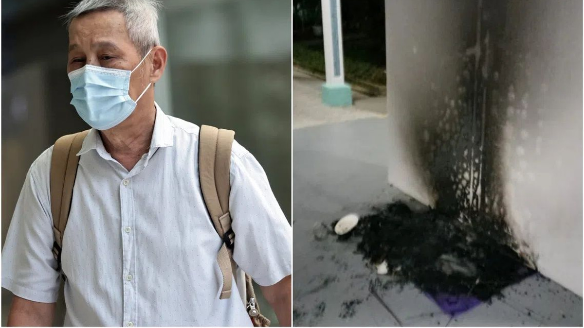 Singapore man jailed three months for burning community cat shelters in dispute