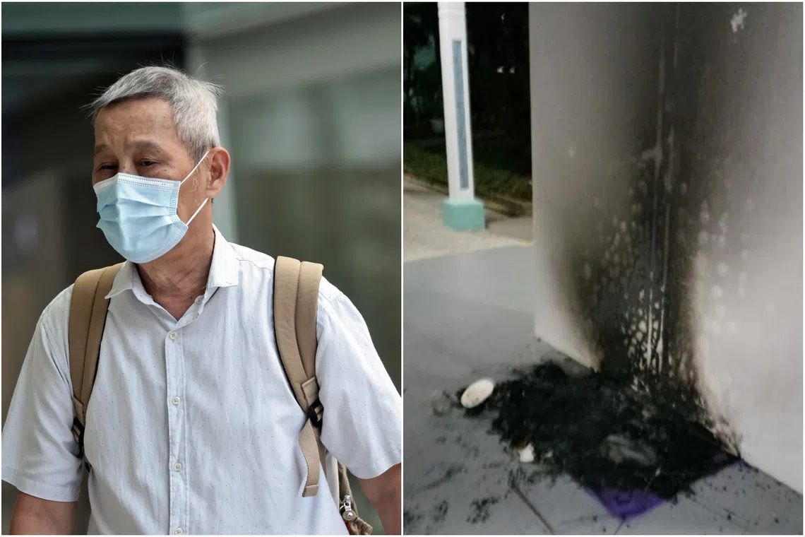 Singapore man jailed three months for burning community cat shelters in dispute