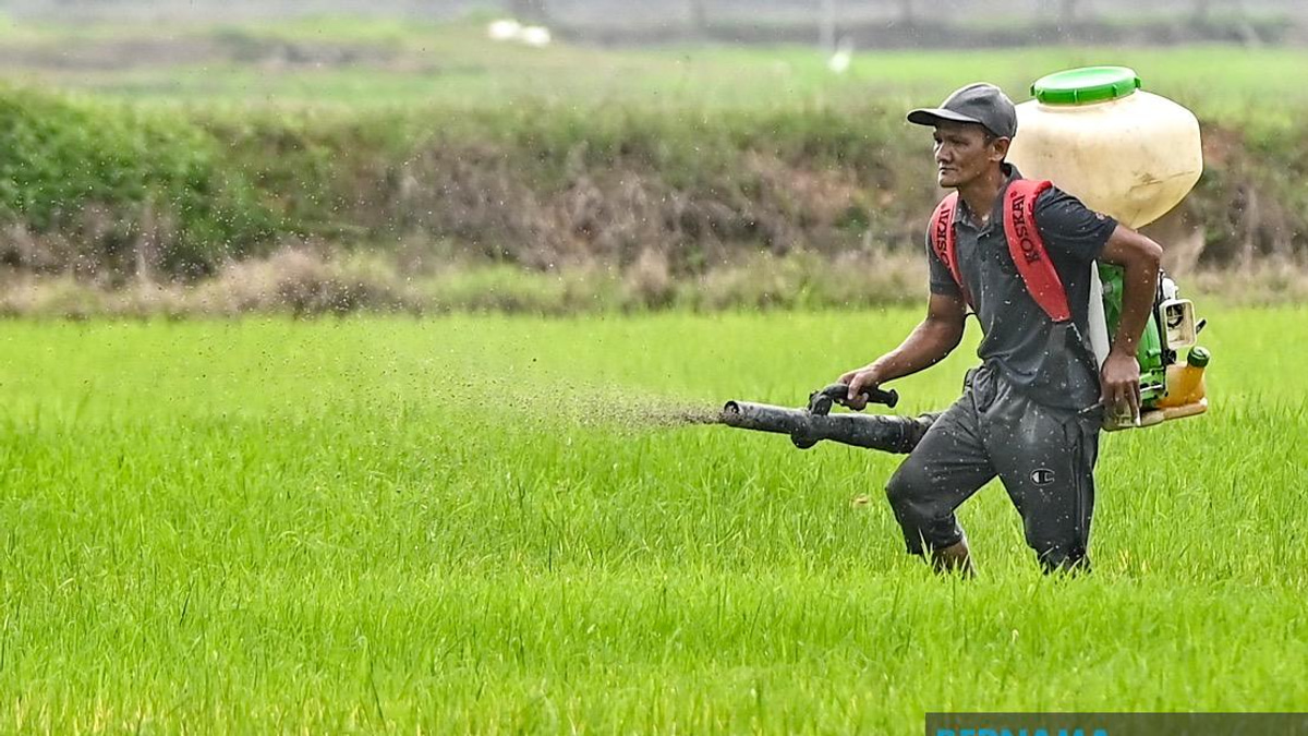 Kelantan Invests RM3.64 Million in Agriculture Push Across Multiple Sectors