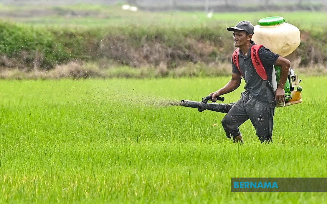 Kelantan Invests RM3.64 Million in Agriculture Push Across Multiple Sectors